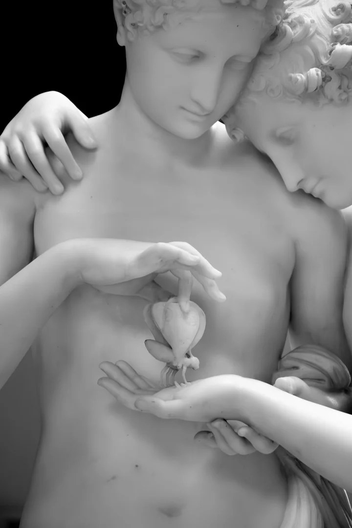 Museo Archeologico Nazionale di Napoli - Gallery 19
